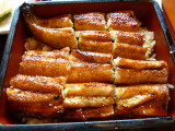 img0075.jpg
