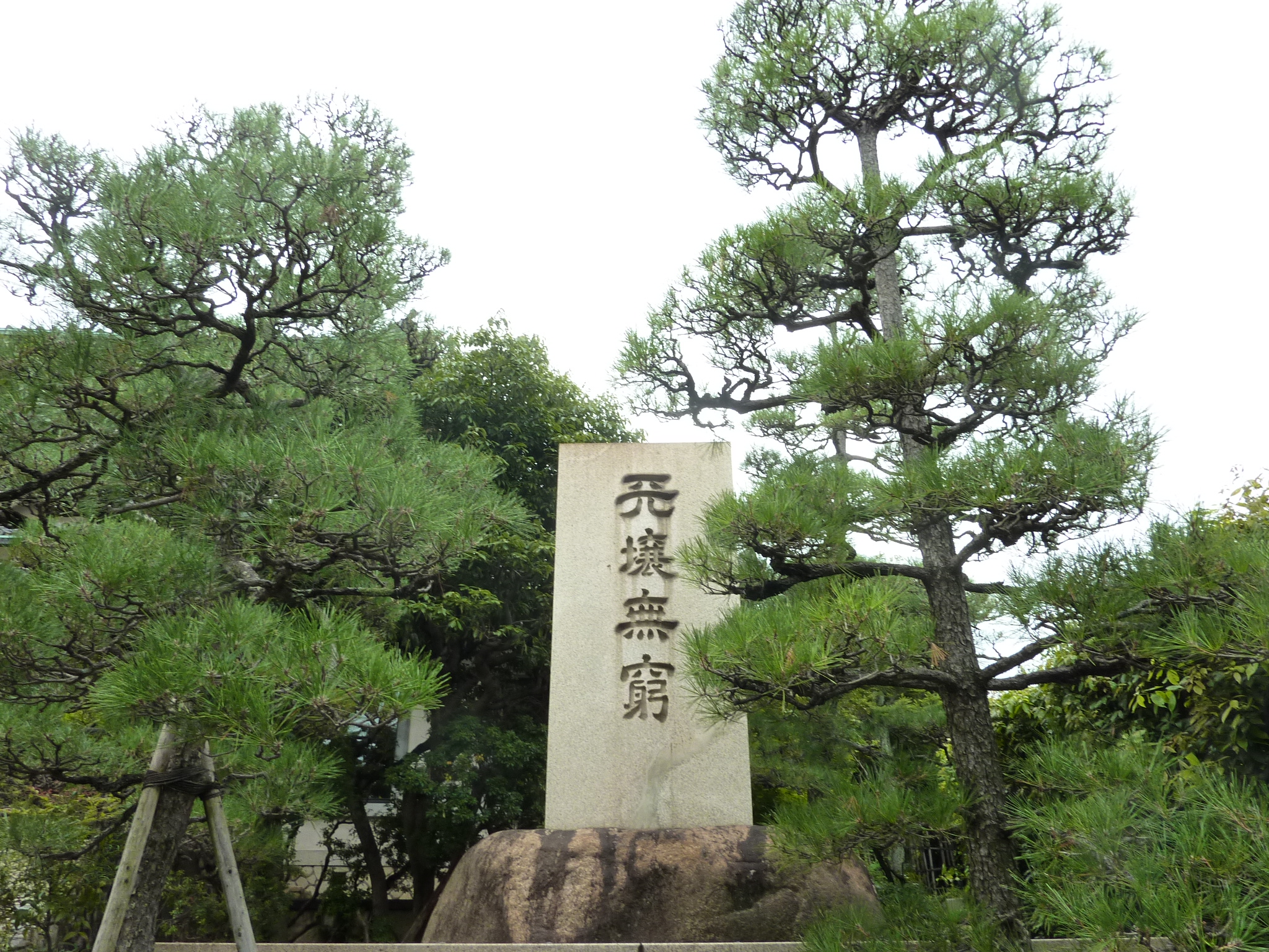 P1060491.JPG