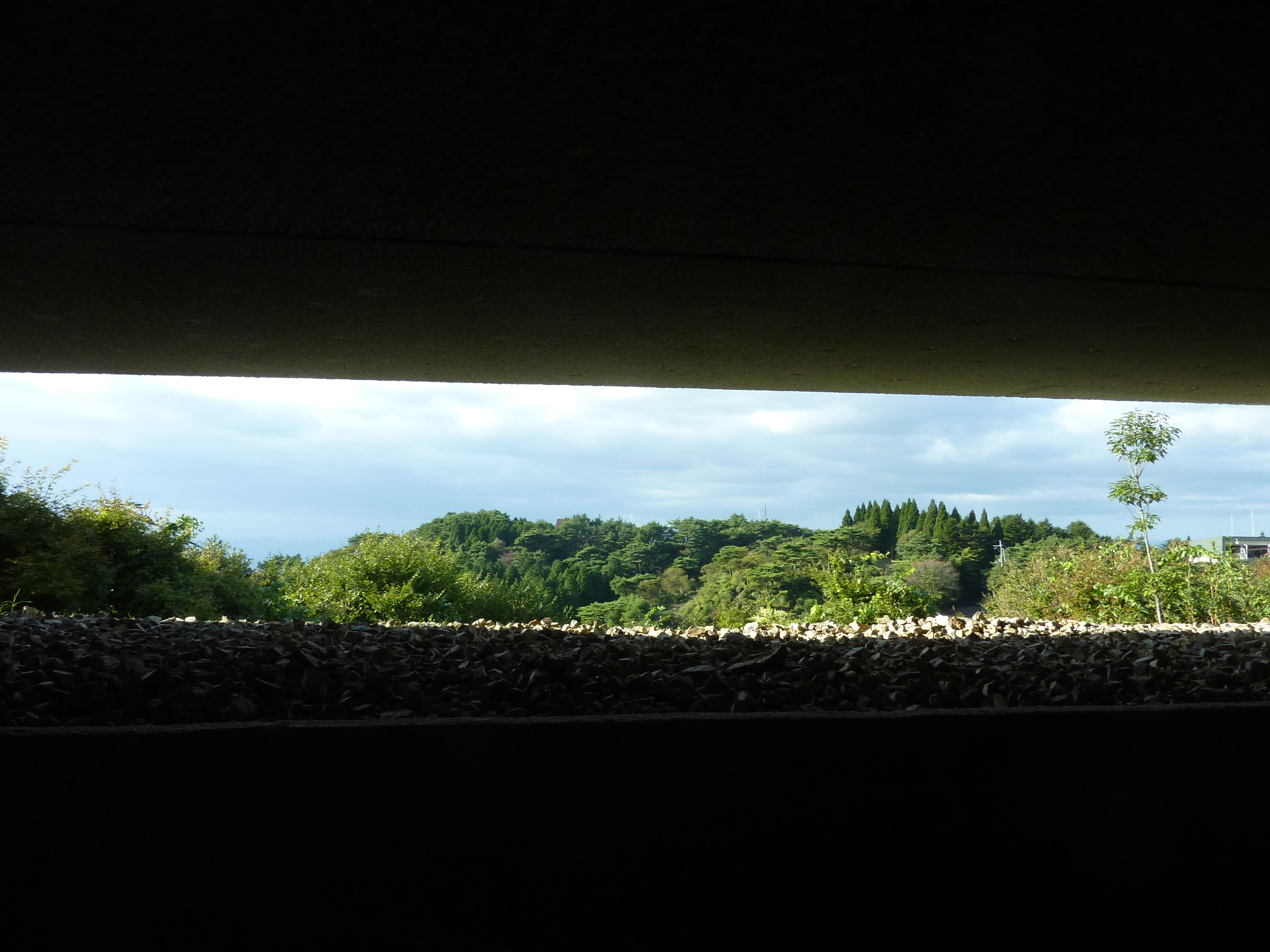 P1060528.JPG