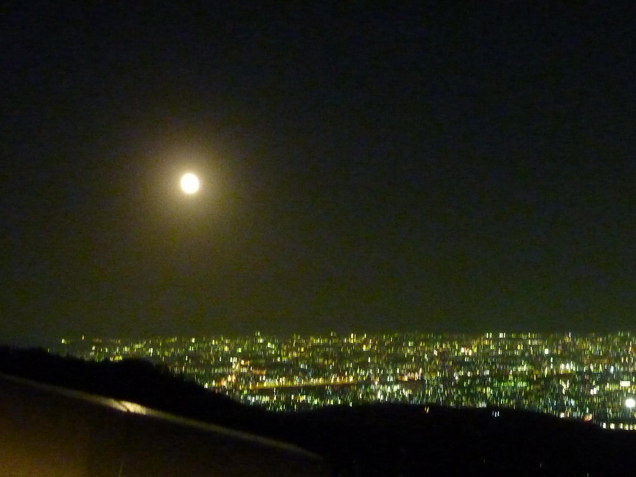 P1060559.JPG