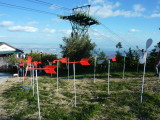 img0014.jpg