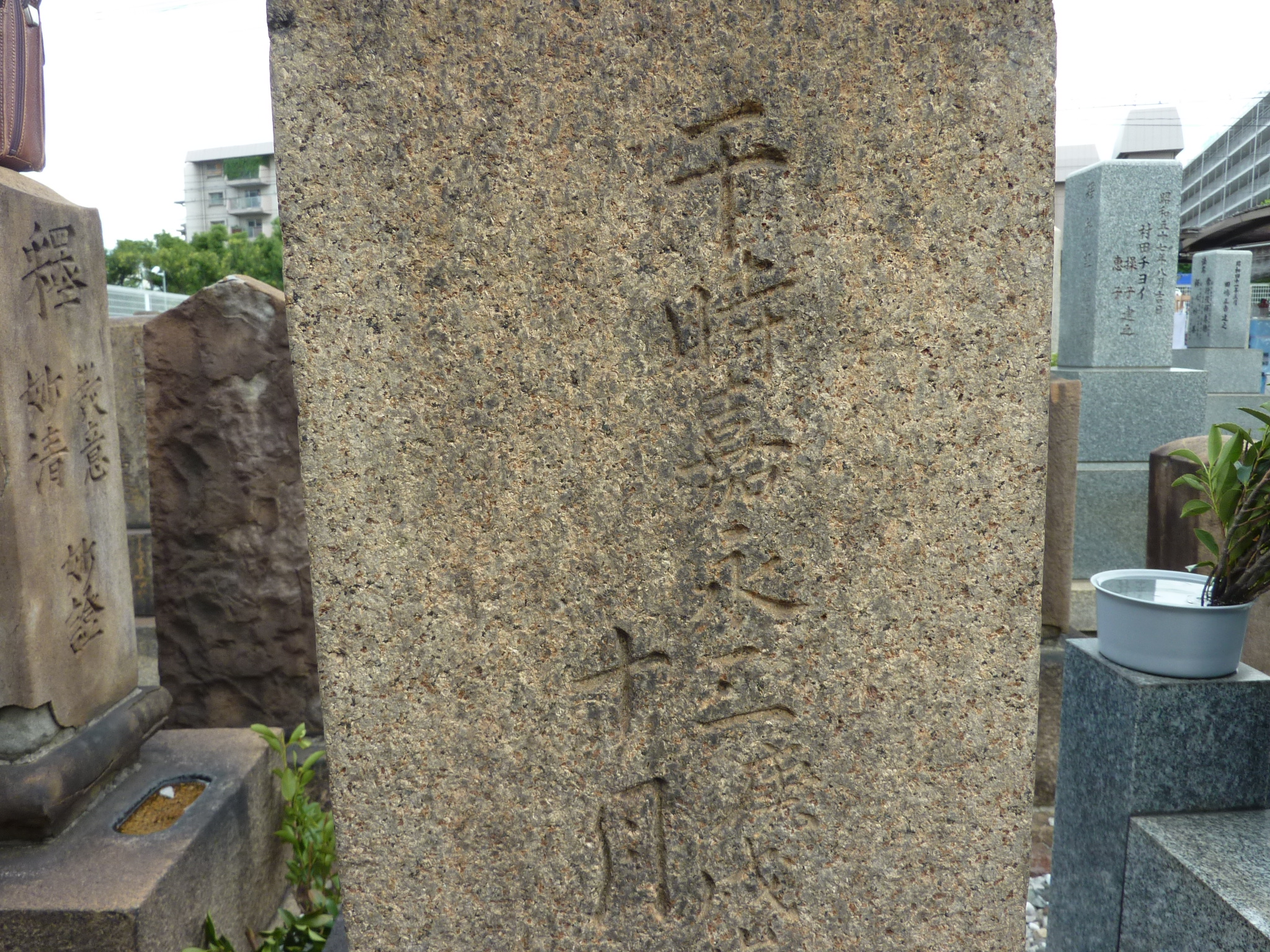 P1060584.JPG