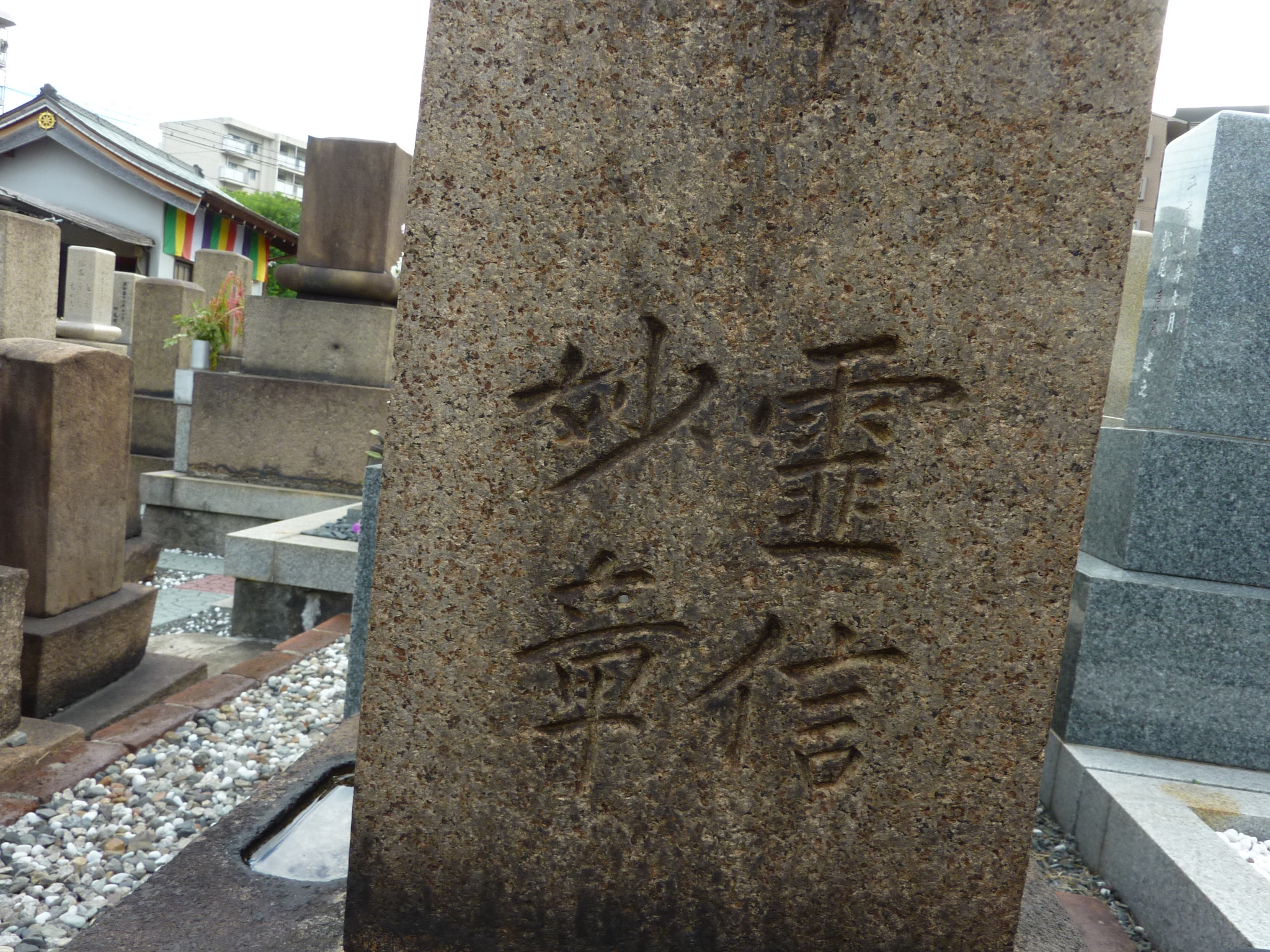 P1060585.JPG