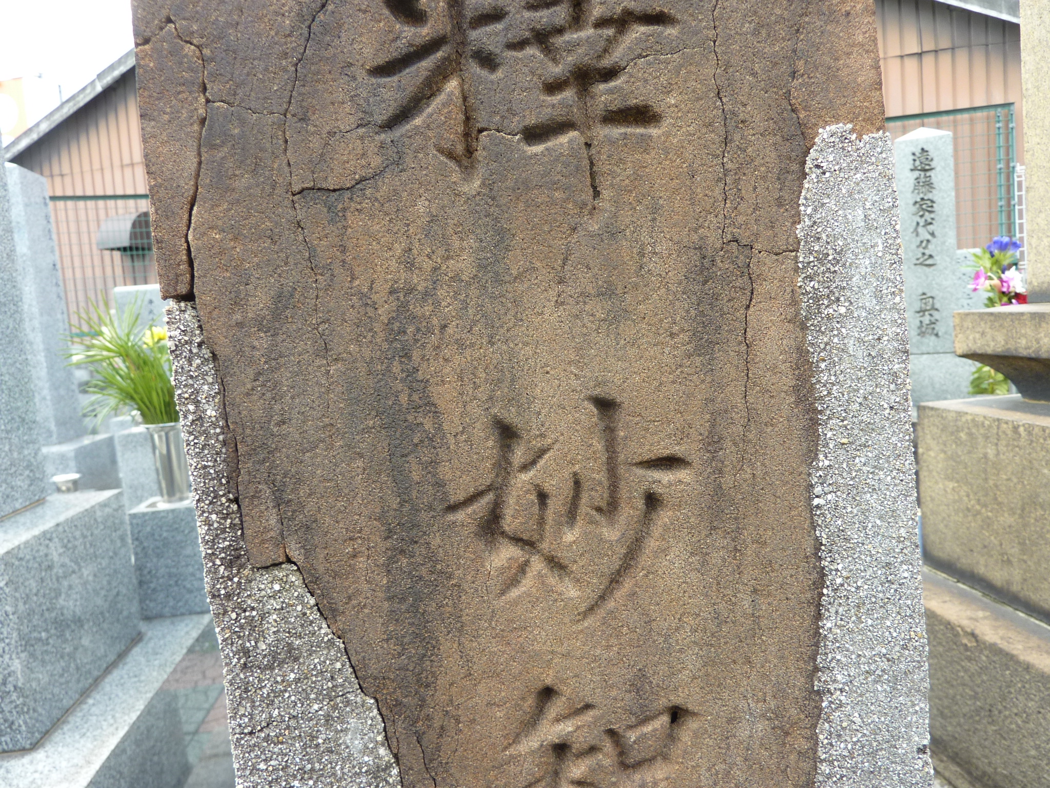 P1060586.JPG