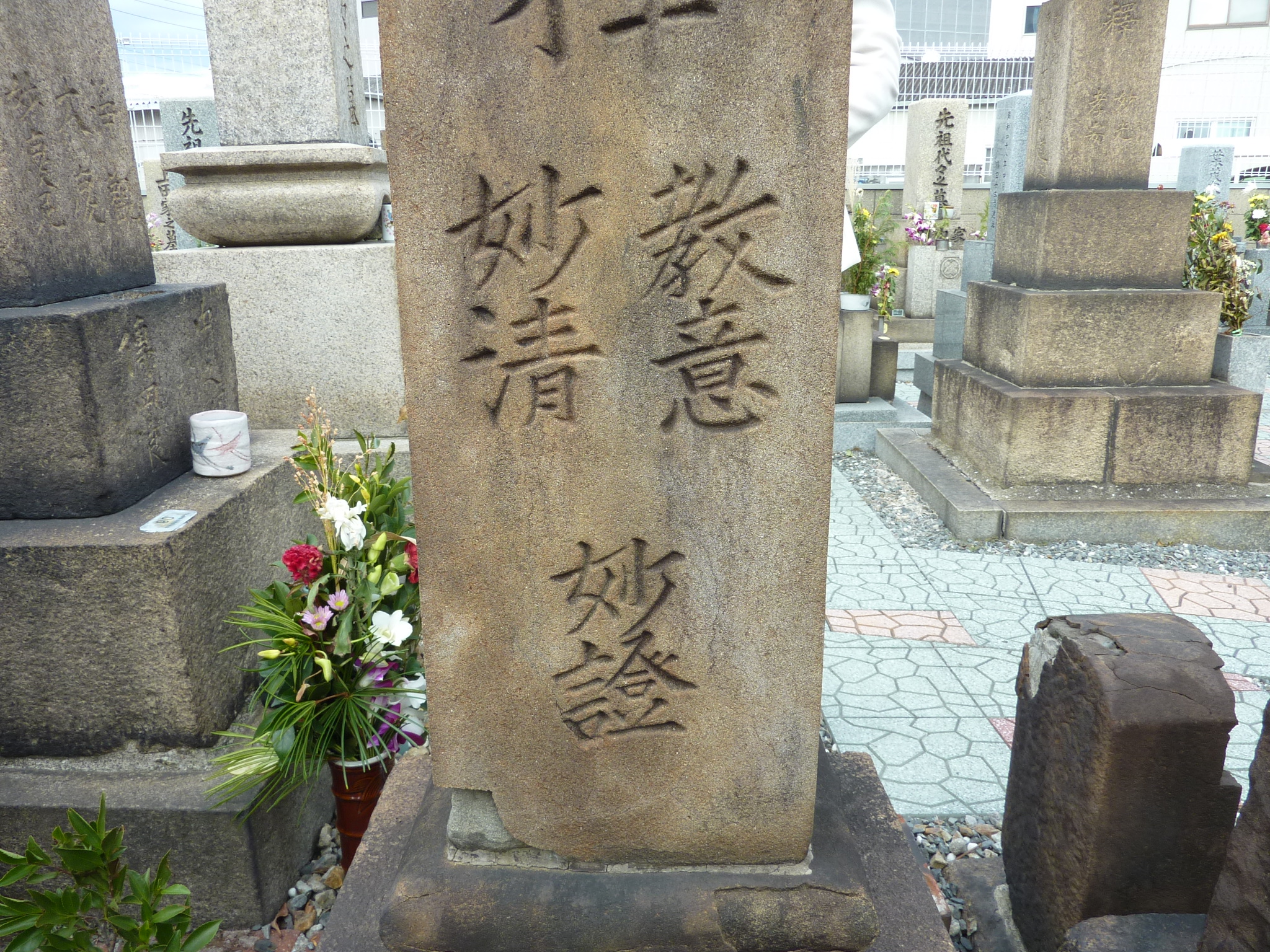 P1060590.JPG