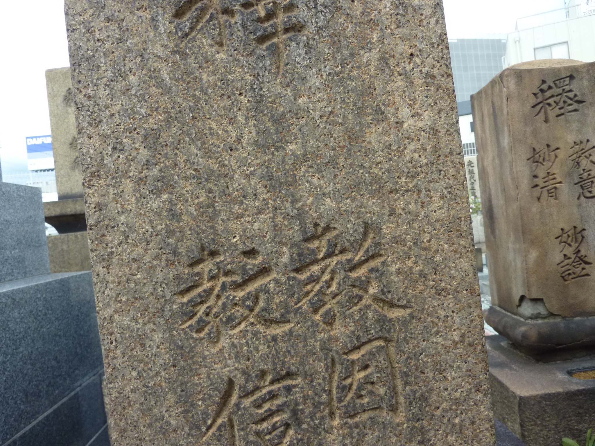 P1060591.JPG