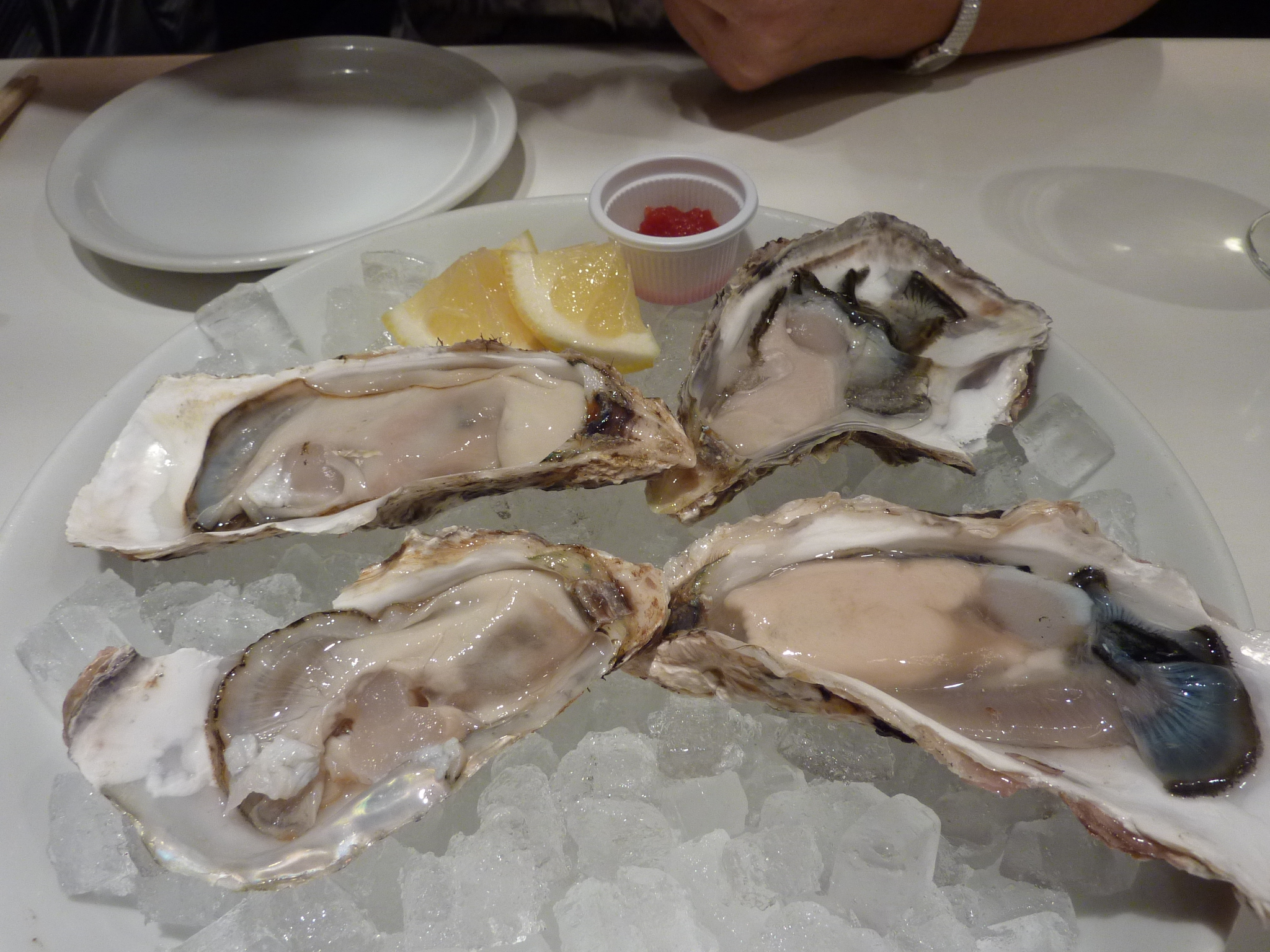 P1060599.JPG