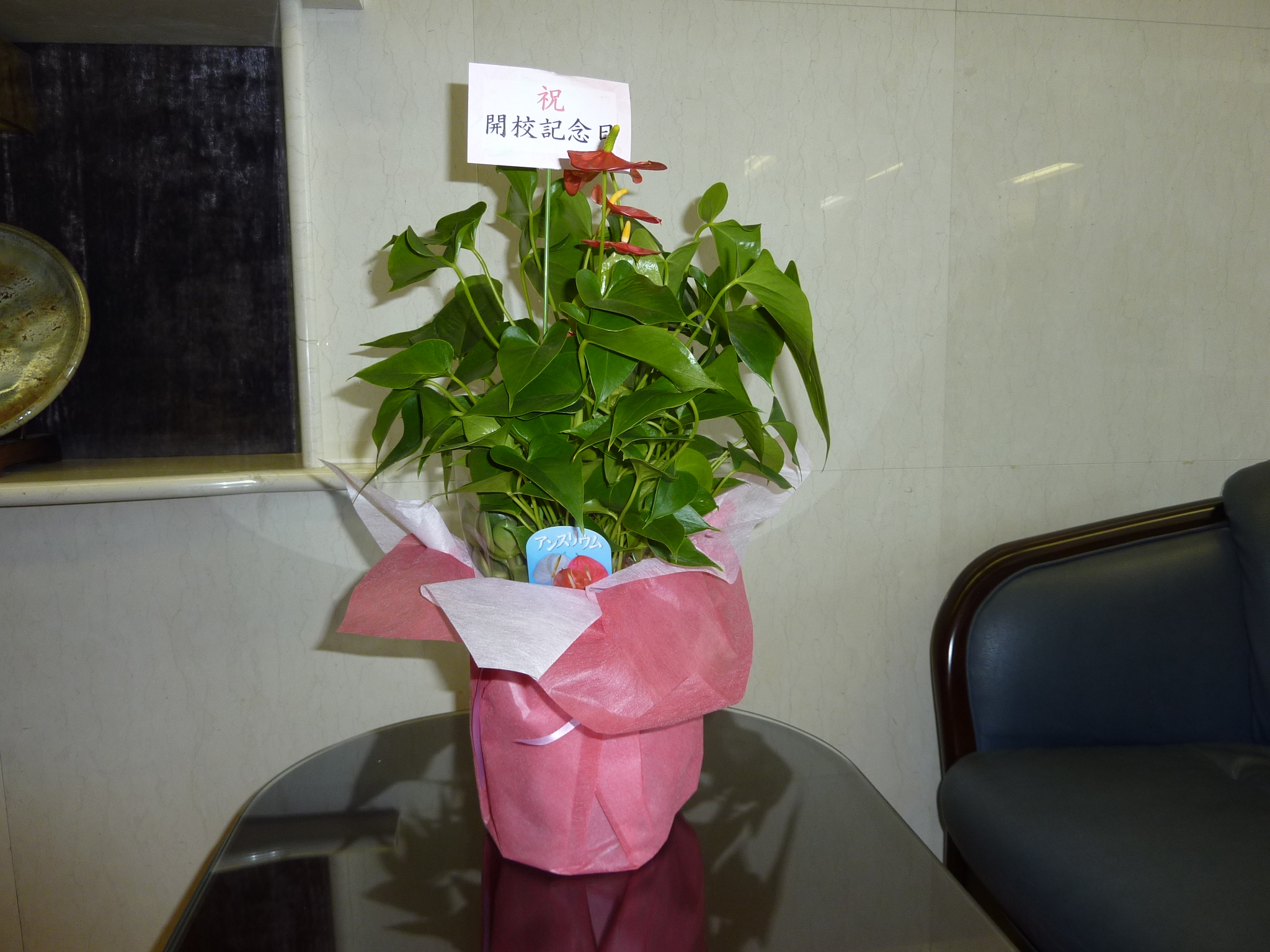 P1060933.JPG