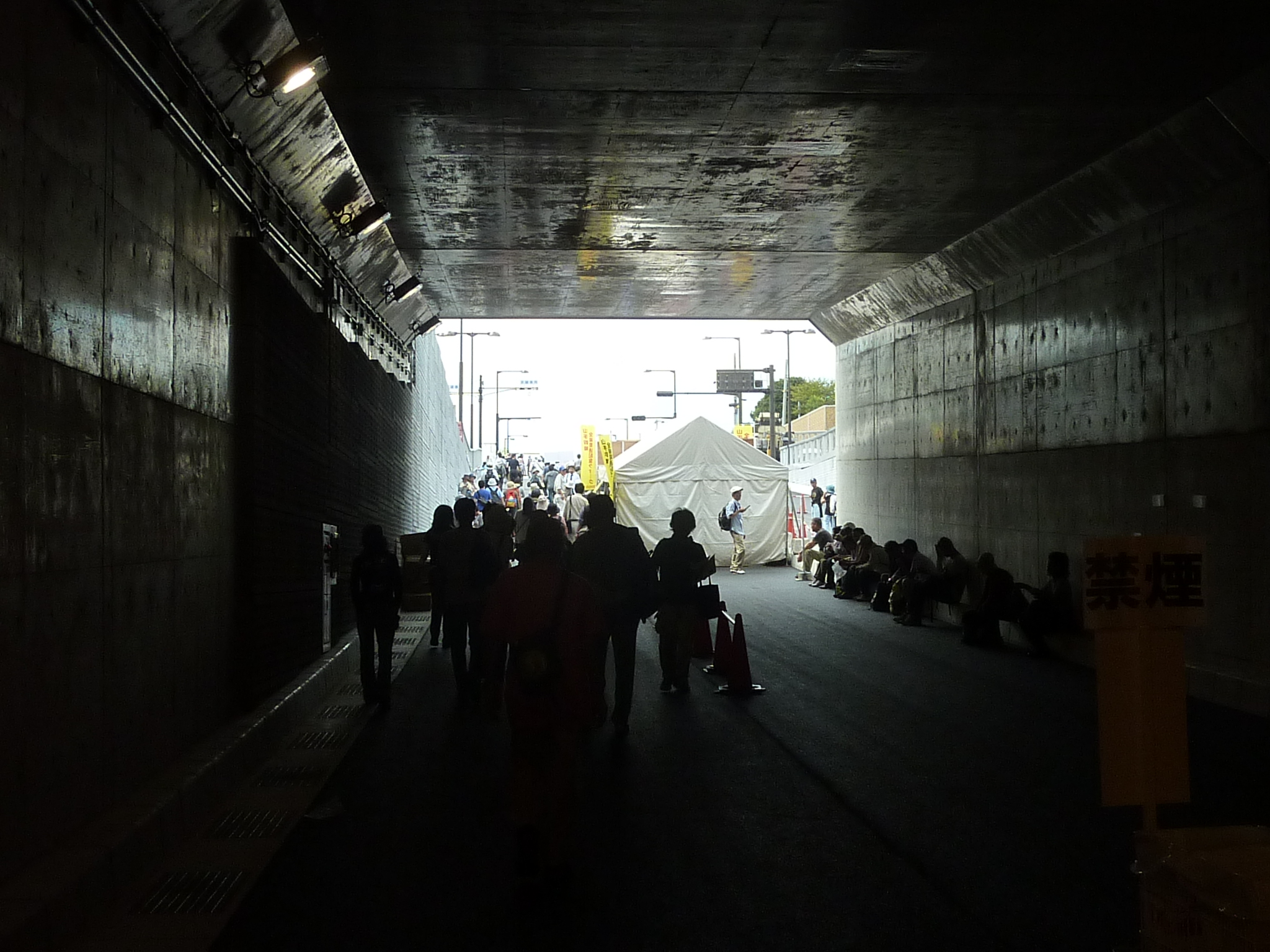P1060990.JPG