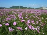 img0006.jpg