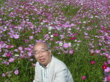 img0008.jpg