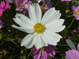 img0010.jpg