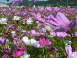 img0013.jpg