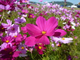 img0019.jpg