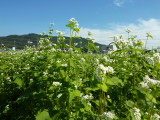 img0025.jpg
