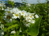 img0027.jpg