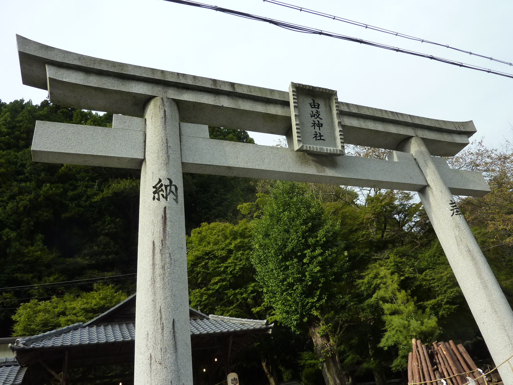 P1070316.JPG