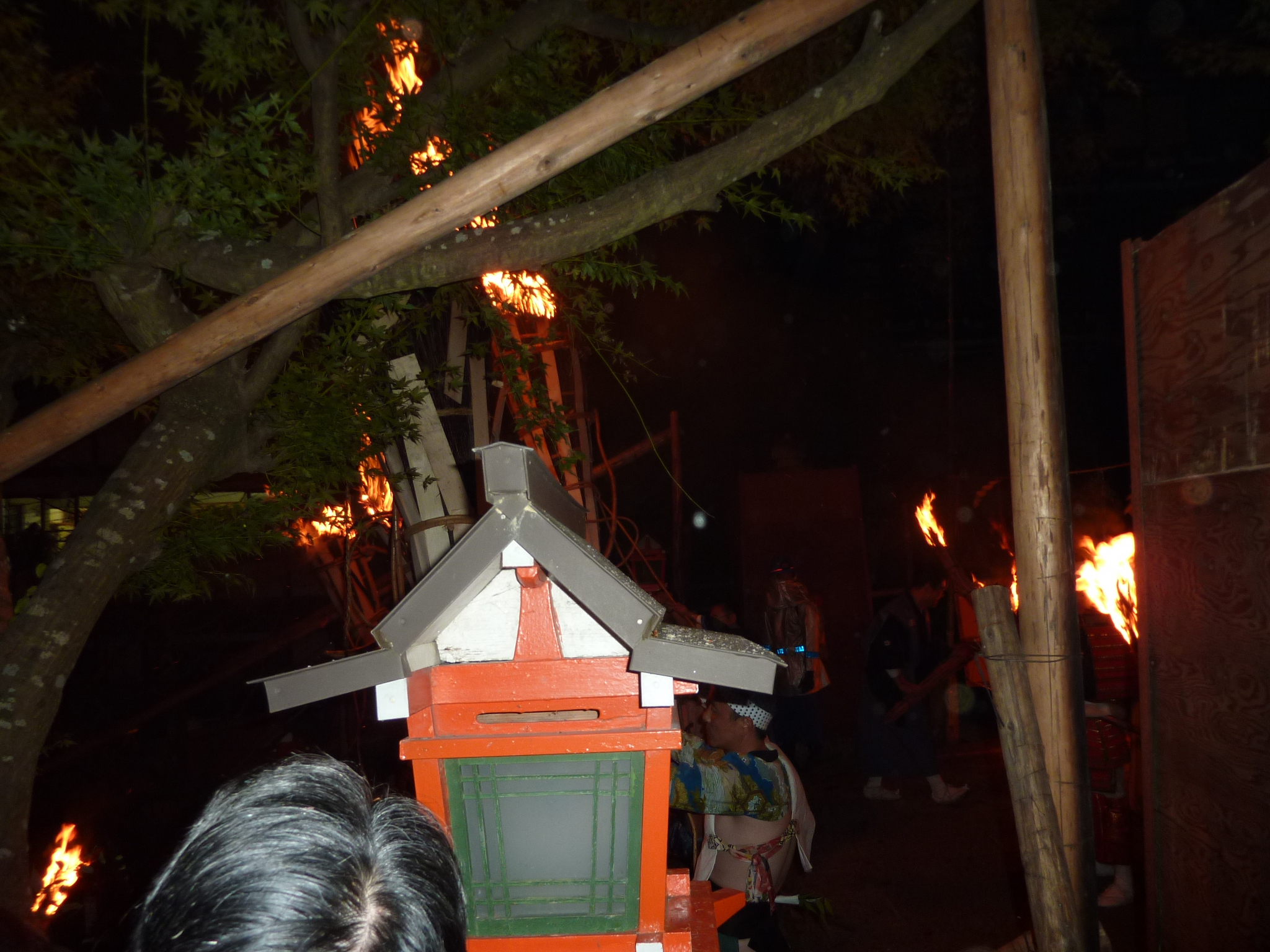 P1070494.JPG