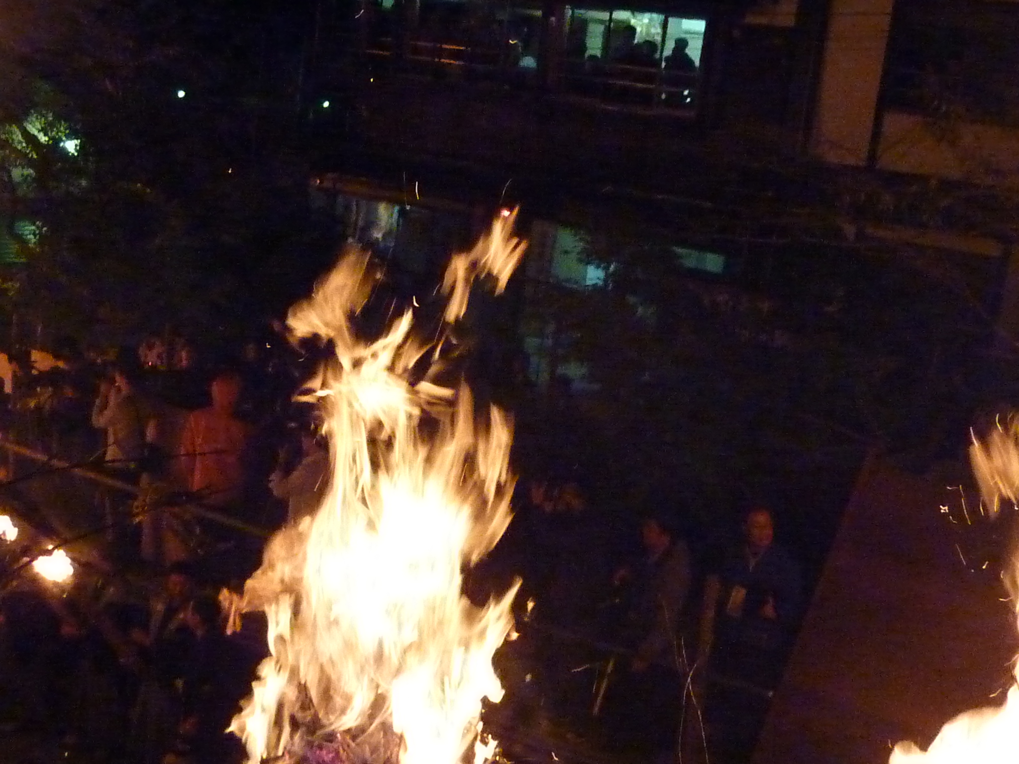 P1070568.JPG
