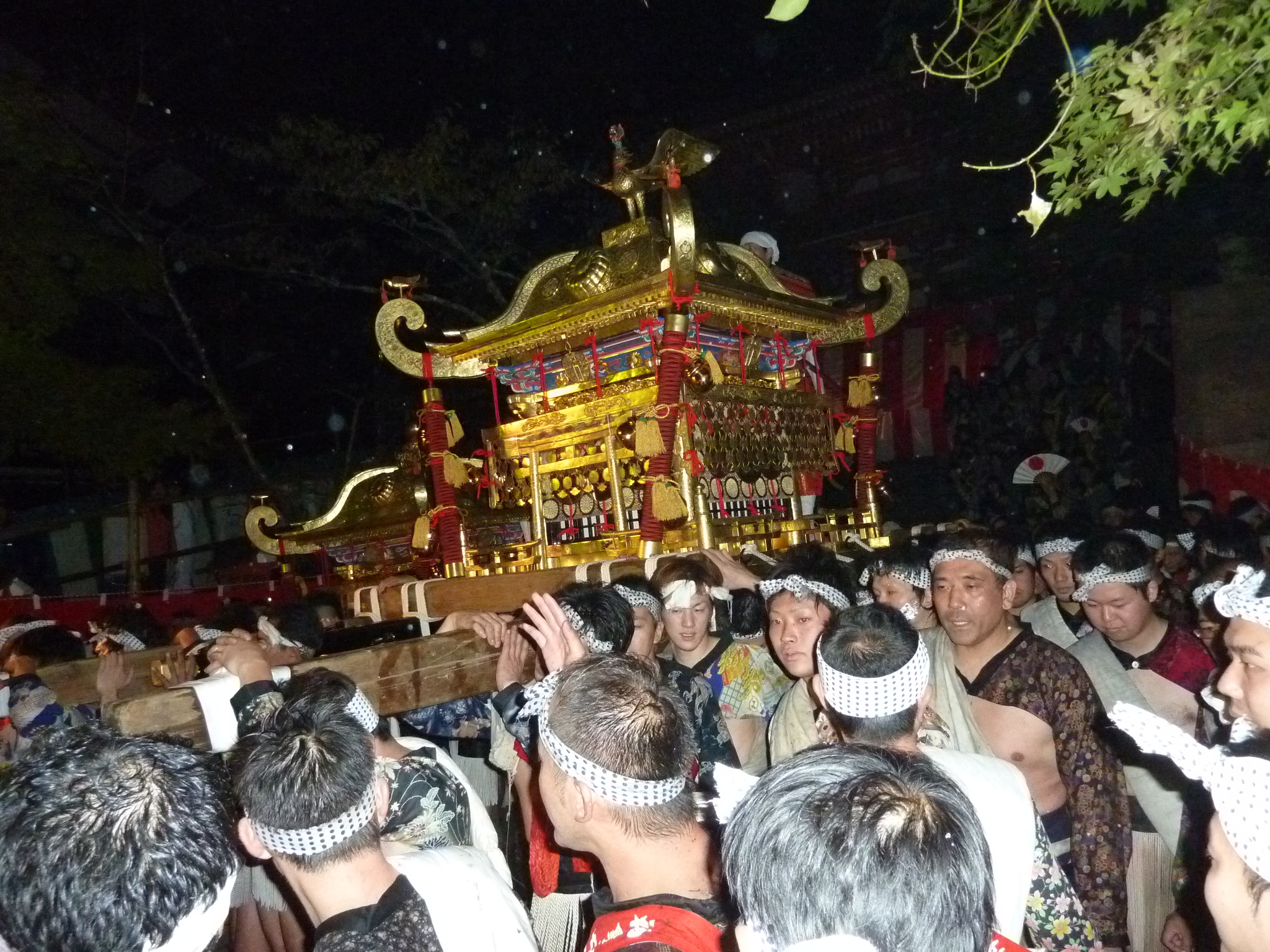 P1070611.JPG
