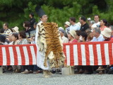 img0111.jpg