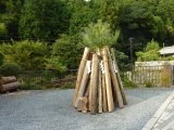 img0171.jpg