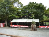 img0184.jpg