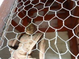 img0189.jpg
