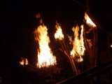 img0377.jpg