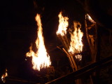img0378.jpg
