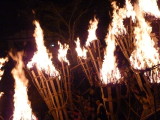 img0392.jpg