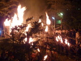 img0410.jpg