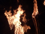 img0413.jpg