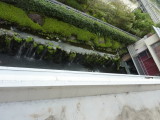 img0004.jpg