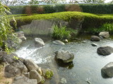 img0008.jpg