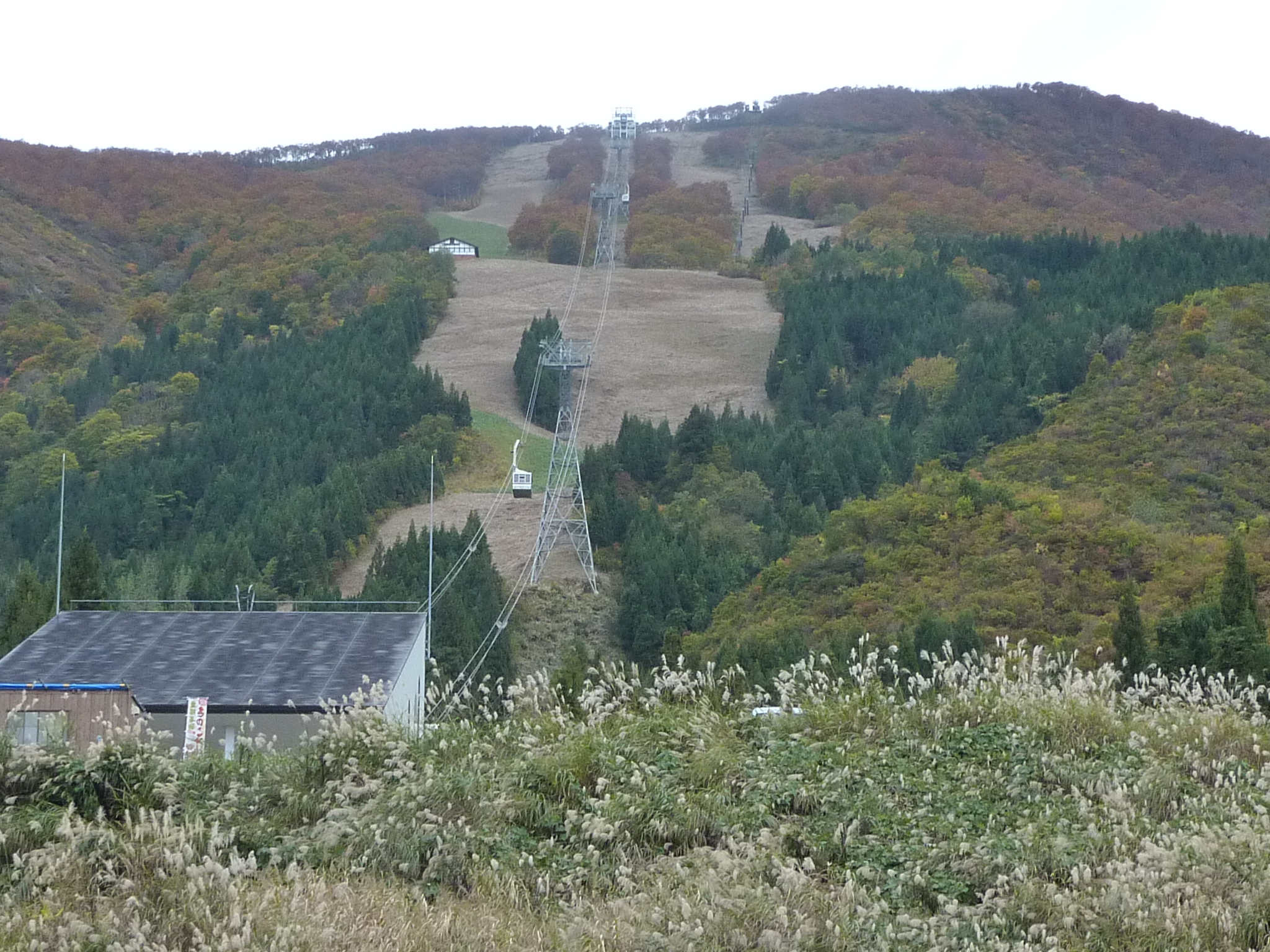 P1070817.JPG