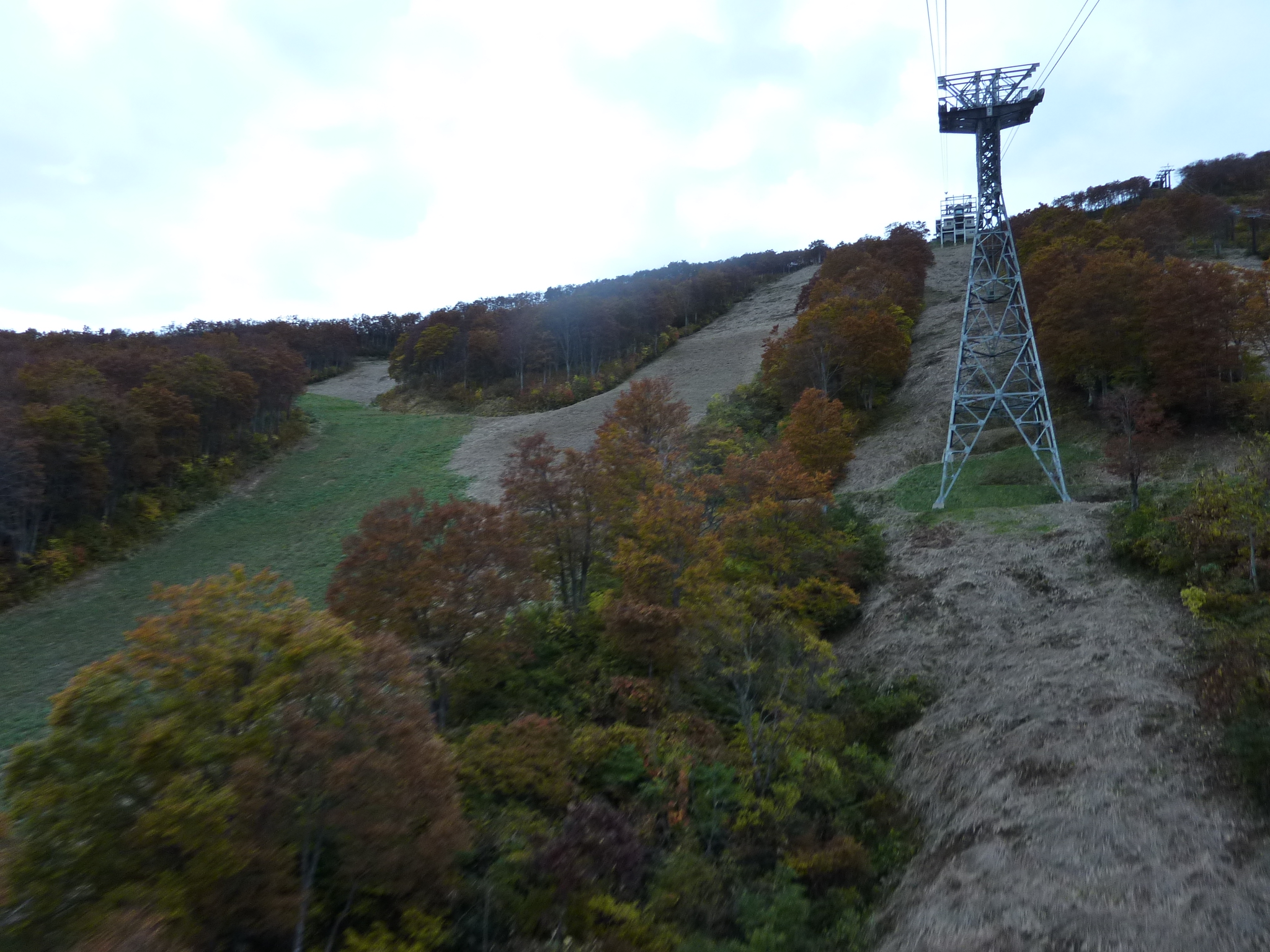P1070830.JPG