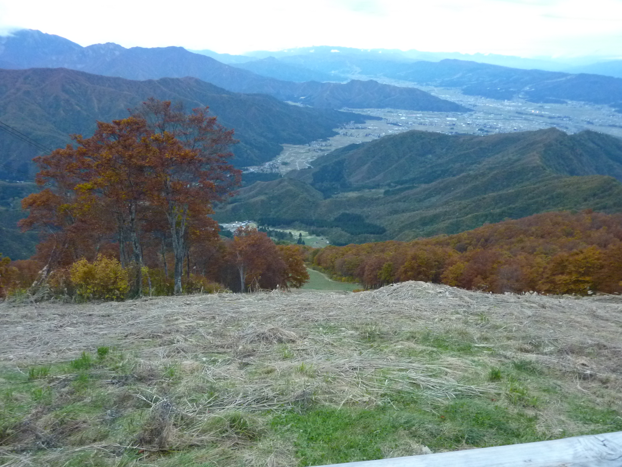 P1070843.JPG