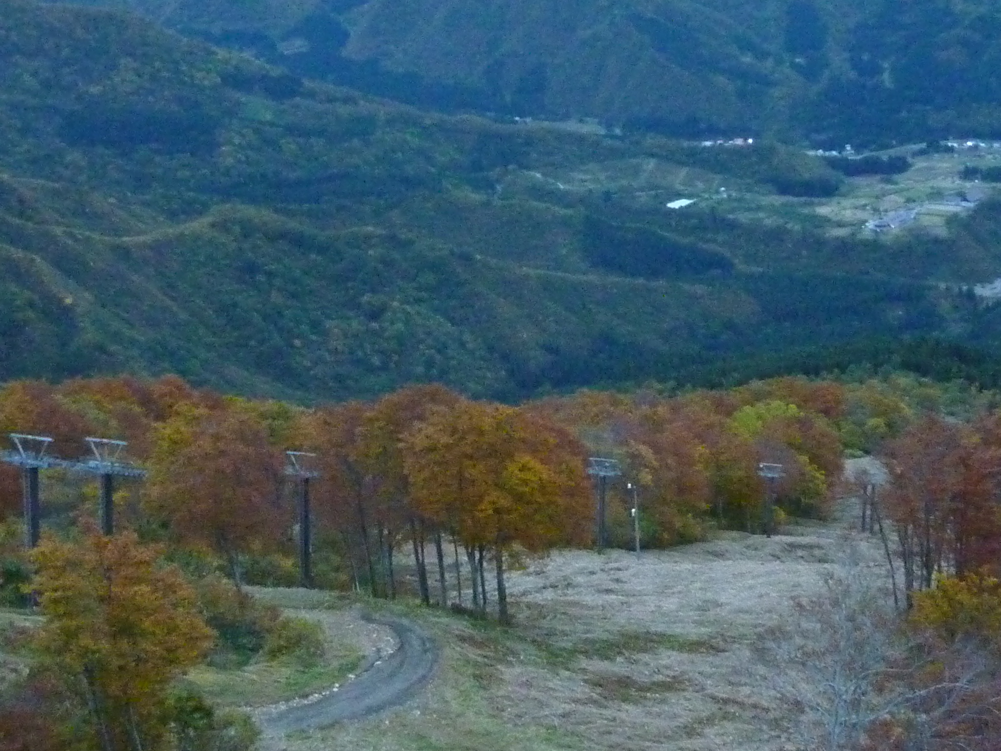 P1070863.JPG