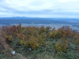 img0042.jpg