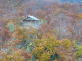img0045.jpg