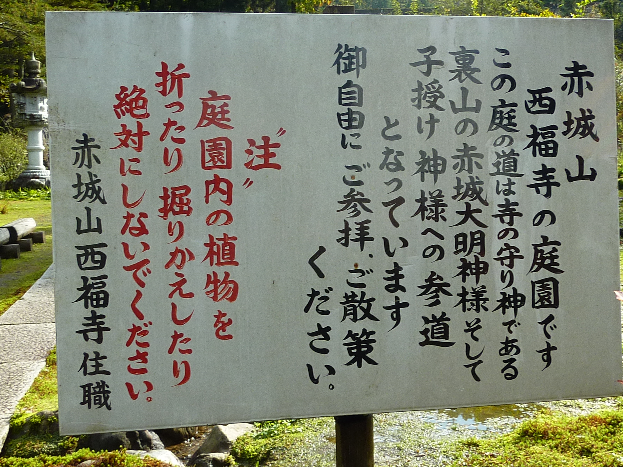 P1070916.JPG