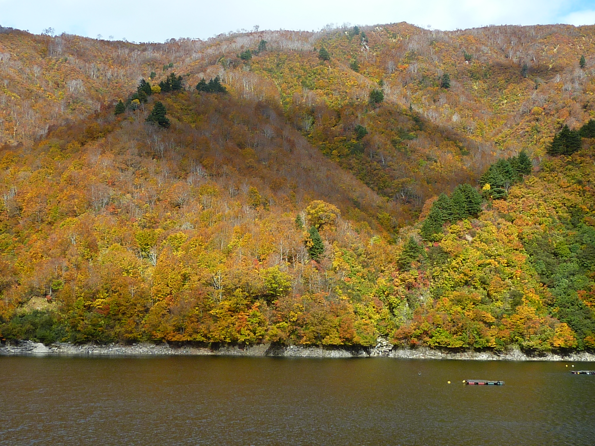 P1070926.JPG