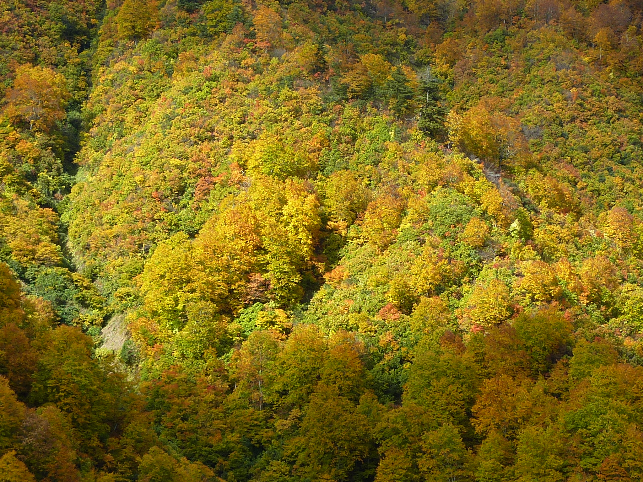 P1070957.JPG