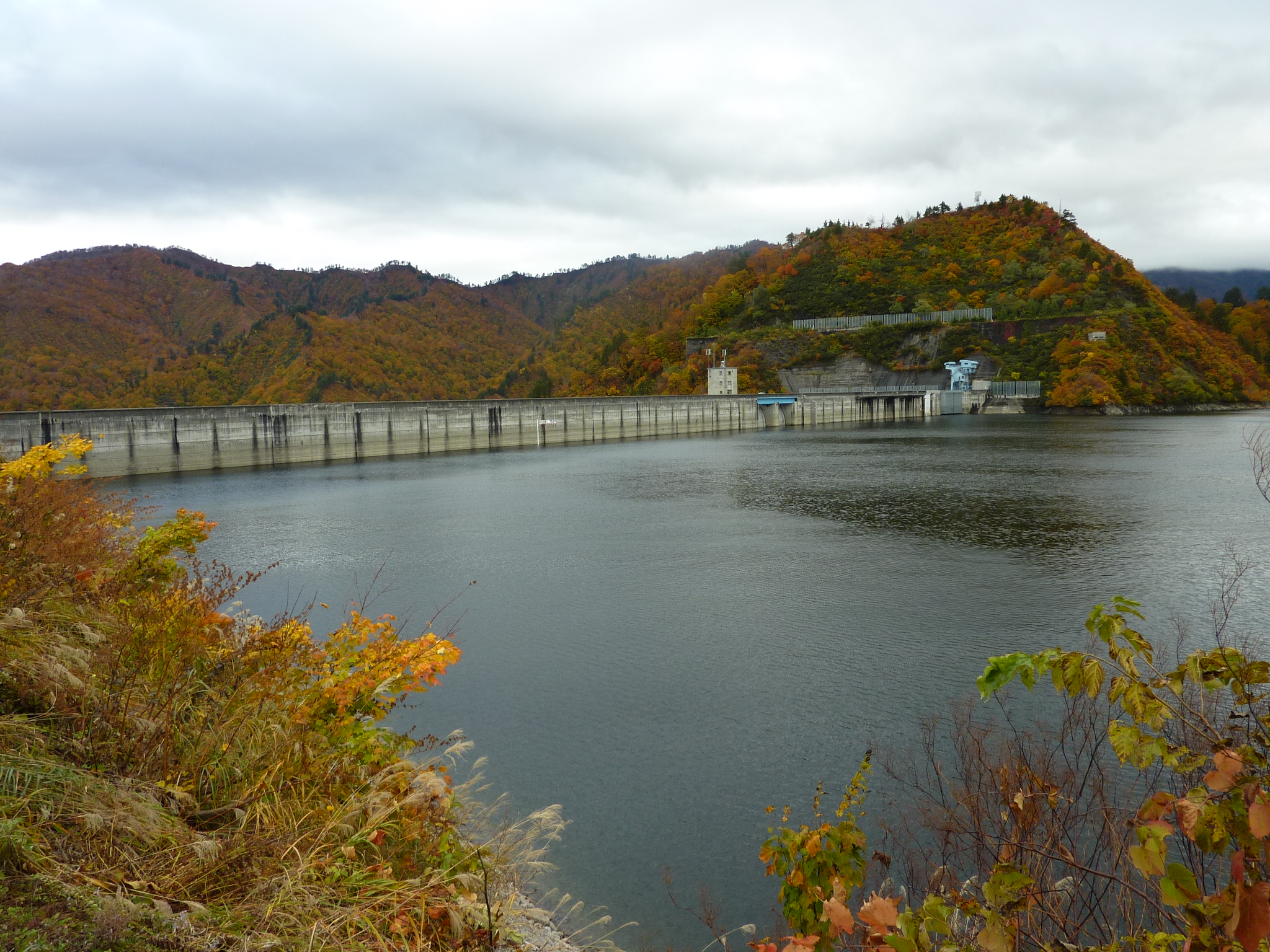 P1070983.JPG