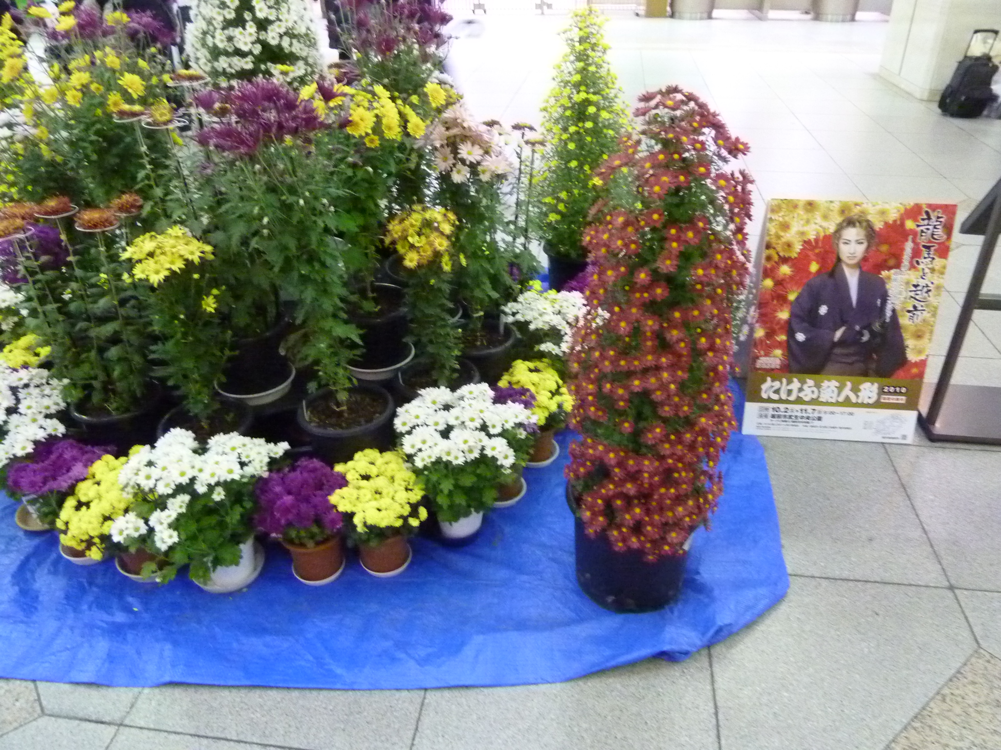 P1080020.JPG
