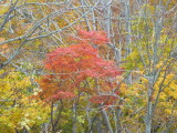 img0057.jpg