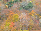 img0066.jpg