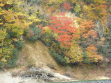 img0078.jpg