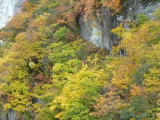 img0085.jpg